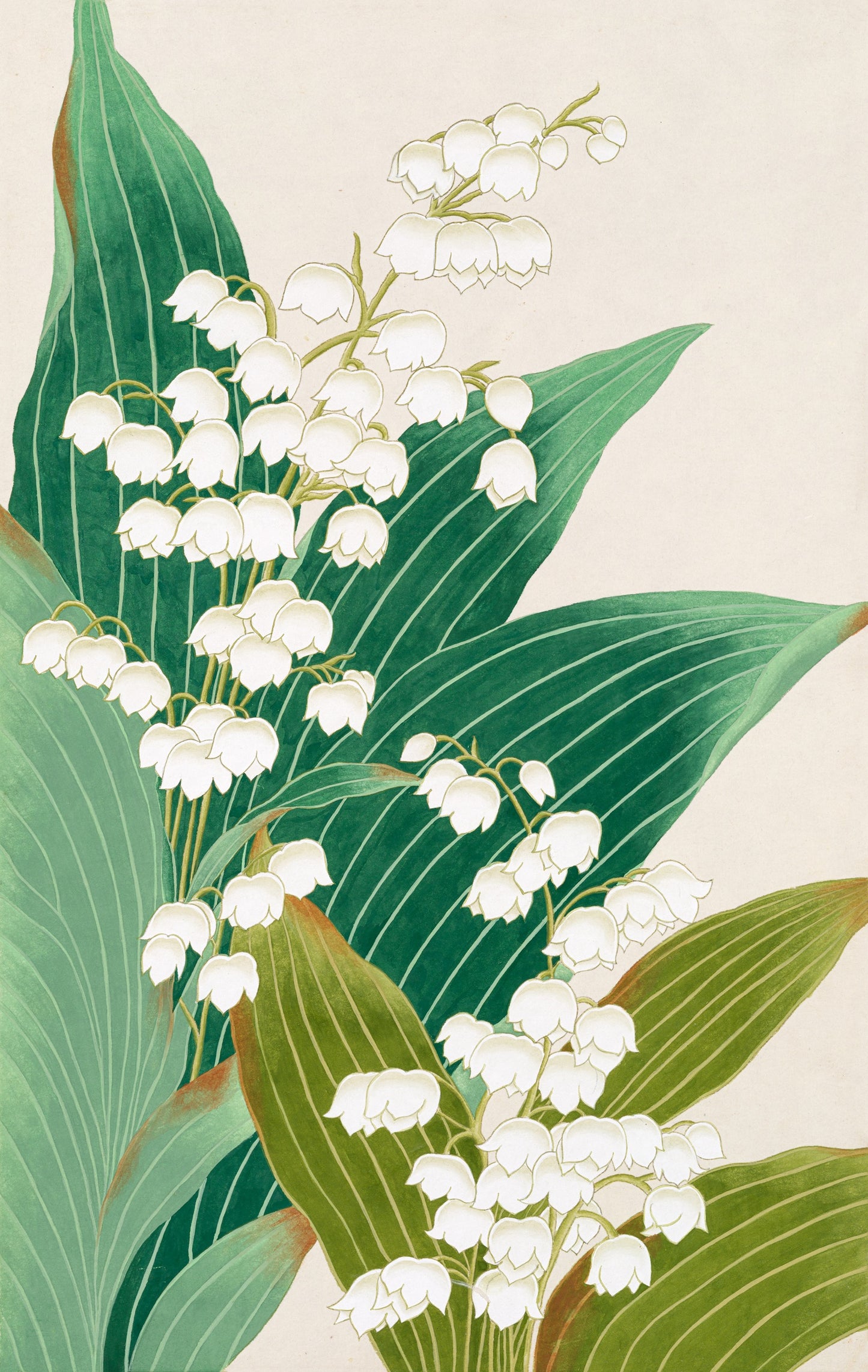Lily of the Valley – Grace in Green Print