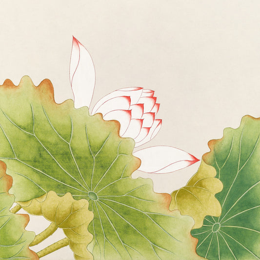 Lotus Whisper I Print