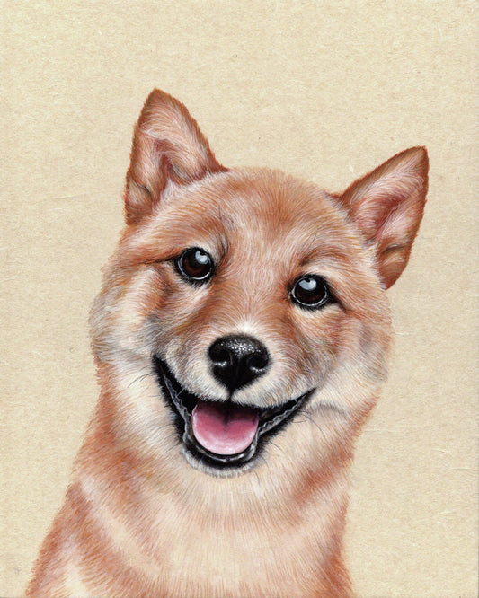 Custom Pet Portrait Minhwa - Shiba Inu (Fine Art Print)